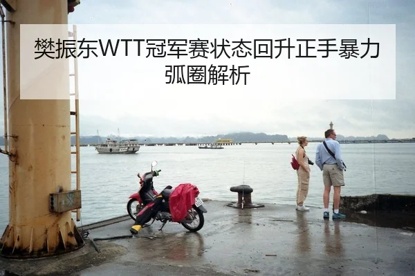 樊振东WTT冠军赛状态回升正手暴力弧圈解析