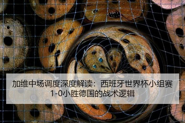 jia-wei-zhong-chang-diao-du-shen-du-jie-du-xi-ban-ya-shi-jie-bei-xiao-zu-sai-xiao-sheng-de-guo-de-zhan-shu-luo-ji-2-389.jpg