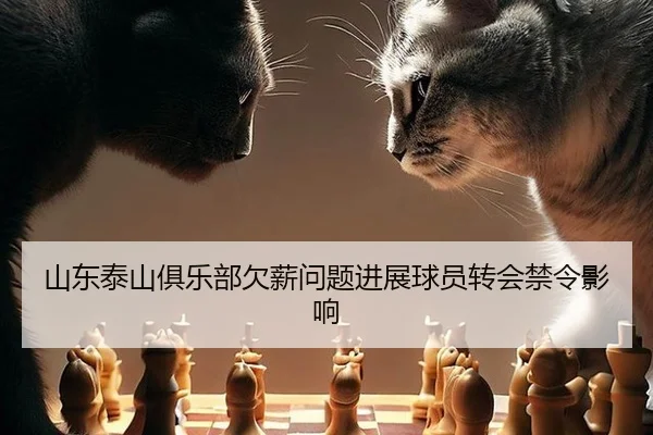 山东泰山俱乐部欠薪问题进展球员转会禁令影响