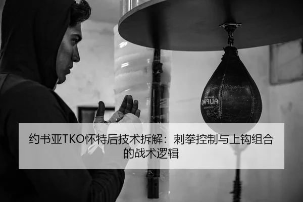 yue-shu-ya-huai-te-hou-ji-shu-chai-jie-ci-quan-kong-zhi-yu-shang-gou-zu-he-de-zhan-shu-luo-ji-3-585.jpg