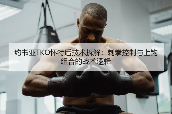 约书亚TKO怀特后技术拆解：刺拳控制与上钩组合的战术逻辑